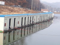 주말조황과 방류소식 : 낚시사랑
