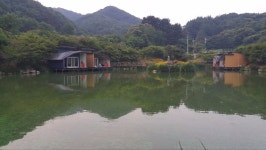 늘보군-개나리낚시공원 - 가족과 힐링 : 낚시사랑