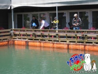 [스타바다좌대낚시터] 5월 26일 금요일 주간조황 및 야간조황 : 낚시사랑