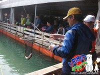 [스타바다좌대낚시터] 5월 28일 토요일 주간조황 및 야간조황 [3부]  : 낚시사랑