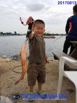 만정 바다 낚시터 8월 13일 (일) 조황정보  : 낚시사랑