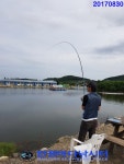 만정 바다 낚시터 8월 30일 (수) 조황정보  : 낚시사랑