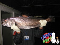 [스타바다좌대낚시터] 9월 13일 수요일 주간조황 및 야간조황 : 낚시사랑