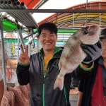 충남 당진 아쿠아 바다 좌대낚시터 10월 1일 조황정보  : 낚시사랑