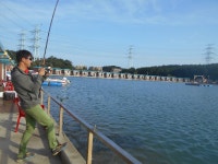  10월 5일 조황정보 : 낚시사랑