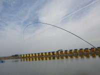 동검레저바다낚시터  10월 13일 금요일 조황정보   : 낚시사랑