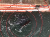 10월 15일 황산초지바다낚시터 조황정보 : 낚시사랑