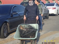 [황산레저바다낚시터] 10월 20일(금) 조황정보 : 낚시사랑