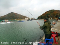  2017년 11월 10일 금요일 우럭 점성어 농어등 조황  : 낚시사랑