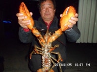 랍스터&장어낚시터11월18일개장안내~~~ : 낚시사랑
