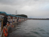 선재 낚시공원 12월 1일 조황정보 : 낚시사랑