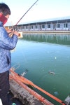 영종 사계절 바다낚시터 12/5일(화) 조황 : 낚시사랑