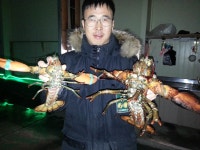 예지실내낚시 랍스터낚시터 1월6일 대박사건~~대박~~ : 낚시사랑