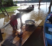 ‘세상에서 가장 풍요롭다’는 아마존 강 어민도 배곯는다... 애니멀피플 : 뉴스 :  ‘세상에서 가장 풍요롭다’는 아마존 강 어민도 배곯는다