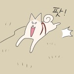 [웹툰] 소금이는 슈퍼 히어로 : 반려동물 : 반려동물 : 애니멀피플 : 뉴스 :  [웹툰] 소금이는 슈퍼 히어로
