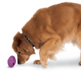 PetSafe Busy Buddy Twist &amp;#39;n Treat Dog Toy, Large | 해외직구는 플라이굿! 빠르고 저렴한 해외쇼핑 모바일