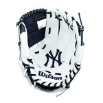 Wilson A0200 New York Yankees Baseball Gloves, 10... 빠르고 저렴한 해외쇼핑 Wilson A0200 New York Yankees Baseball Gloves... 