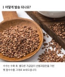 [NS]국내산 고창 5색 잡곡 골라담기/2개이상 구매시 찹쌀1kg추가 - NS홈쇼핑