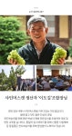 경북 경산 GAP 샤인머스캣 1.5kg/2kg/2.5kg 골라담기 - NS홈쇼핑