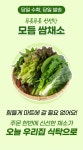당일수확,당일발송 싱싱한 쌈채소 1kg(9종랜덤발송) - NS홈쇼핑