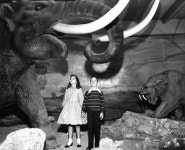 Florida Memory  - Children with life-size replicas of prehistoric animals. Children with life-size replicas of prehistoric animals.