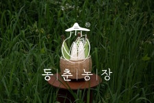 세정 ‘동춘농장’ 통해 ‘박사찰옥수수’ 판매 세정 ‘동춘농장’ 통해 ‘박사찰옥수수’ 판매 