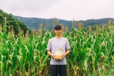 세정 ‘동춘농장’ 통해 ‘박사찰옥수수’ 판매 세정 ‘동춘농장’ 통해 ‘박사찰옥수수’ 판매 