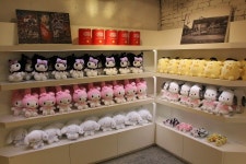 아이스비스킷, 가을 컬렉션 팝업 진행 아이스비스킷, 가을 컬렉션 팝업 진행 