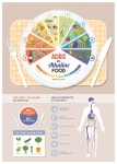 Acidic alkaline diet infographic vector 01 - Vector Business, Vector Food free download