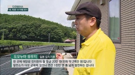 명장면 클립 | 다큐 플러스 | 프로그램 | JTBC 동일본대지진 이후 가족의 희망이 되어준 태양광 사업