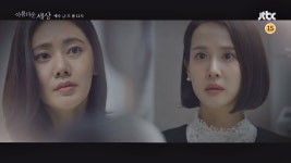 뉴질랜드서 만난 귀여운 친구들! 안녕, 알파카?