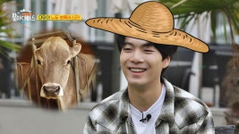 명장면 클립 | 사서고생 시즌2 : 팔아다이스 | 프로그램 | JTBC 종현이는 소 농장이 좋아요! 강원도의 아들이니까요 -^