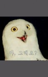 으따,, - 오더앤카오스 오더앤카오스 스마트 게임샷 으따,, : 스마트게임샷