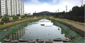 Chemiacls for Water Treatment, Wastewater,Removal of SS, BOD, COD, Green Algae, Odor, T-N, T-P(id:9270717). Buy Korea water... 