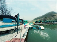 유료터정보 > 유료터점주조황 > 따듯한 햇살아래 반가운 입징들..