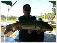 유료터정보 > 유료터점주조황 > 거일낚시터 9월16일 조황정보