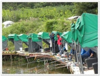 유료터정보 > 유료터점주조황 > 거일낚시터 9월16일 조황정보