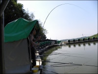 유료터정보 > 유료터점주조황 > 거일낚시터 (6월 첫주 조황정보 입니다)