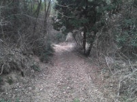 거금도 석교 마실 길 - 석정리 - 거금도닷컴