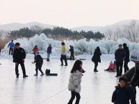   경기도 포천 추천여행 – 동화와 빛의 세상, 허브 아일랜드