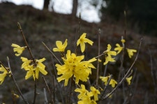   경기도 여주 추천여행 – 해여림식물원