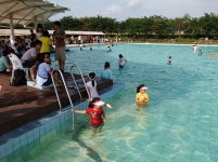   경기도 시흥 추천여행 – 시흥갯골축제 시흥갯골생태공원