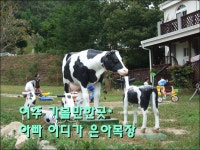   경기도 여주 추천여행 – 아빠어디가 목장 은아목장 이야기