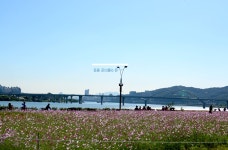   경기도 구리 추천여행 – 마음속의 경기도 5.구리시 한강시민공원