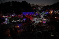  경기도 포천 추천여행 – 허브아일랜드 불빛 동화축제.