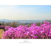   가현산