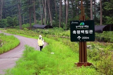   가평 가볼만한곳-잣향기푸른숲