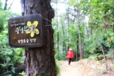   구름산