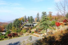   경기도 양평 추천여행 – 마음속의 경기도 214. 산나물 두메향기