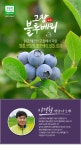 [무농약/산지직송]고창 블루베리 프리미엄 햇 냉동생과 2kg (특대과) 프레시데이_간편보기_동원몰